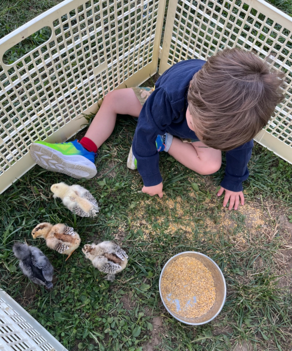 attività in natura per bambini Cabiate